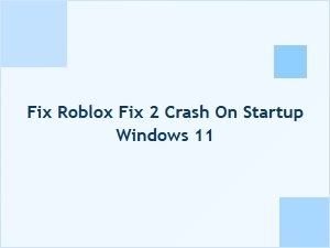 How to Fix Roblox Crash on Startup in Windows 11